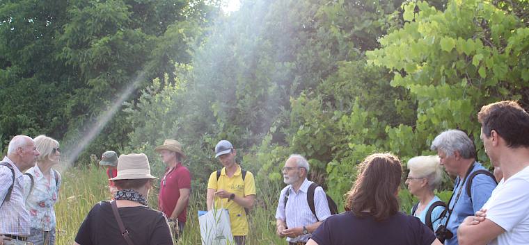 Im Rahmen der heutigen Führung überzeugten sich 13 Naturinteressierte vom Erfolg der Wiederherstellungsmaßnahmen auf der Schweizerwiese in Bad Vöslau. © LPV/S. Lütgehetmann Teilnehmer*innen Naturführung Schweizerwiese