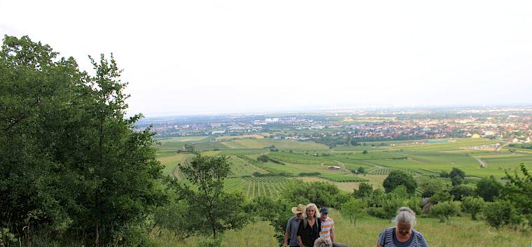 Gemeinsam erklimmen wir den Fluxberg um auf die artenreiche Trockenrasenfläche zu kommen. © LPV/F. Hohn Trockenrasenführung Fluxberg