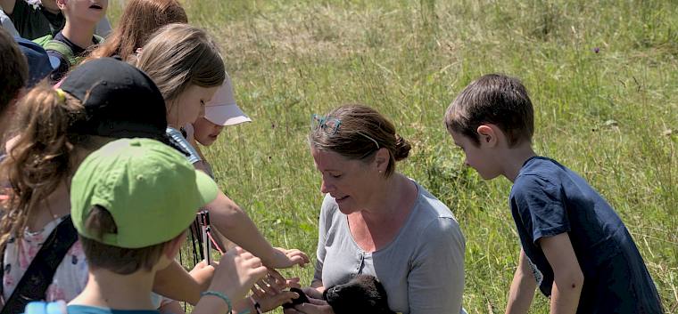 Ein Lamm konnte mit Schäferin Christa Veits aus der Nähe beobachtet werden © LPV/A. Temel Kinder mit Lamm