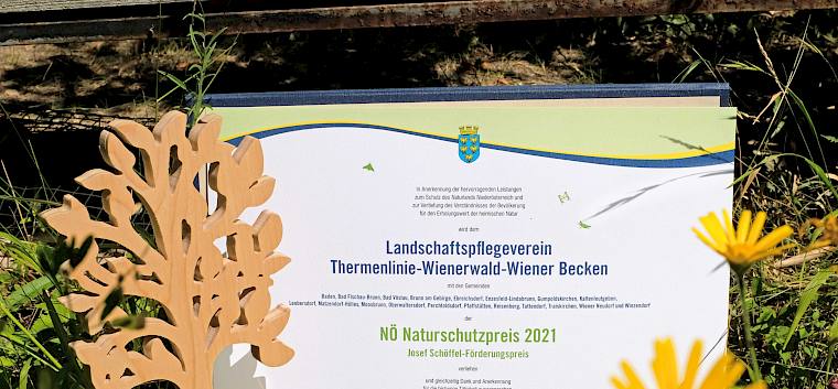 Landschaftspflegeverein und 19 Gemeinden unserer Netzwerk Natur Region wurden mit dem Josef-Schöffel-Naturschutzpreis des Landes NÖ ausgezeichnet. © LPV/J. Fischer Auszeichnung Josef-Schöffel-Naturschutzpreis