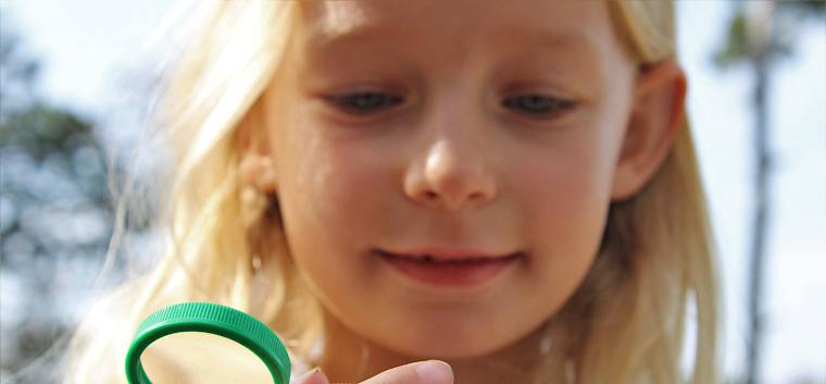 Ein Grashüpfer lässt sich in Ruhe beobachten © LPV/F. Hohn Grashüpfer Becherlupe