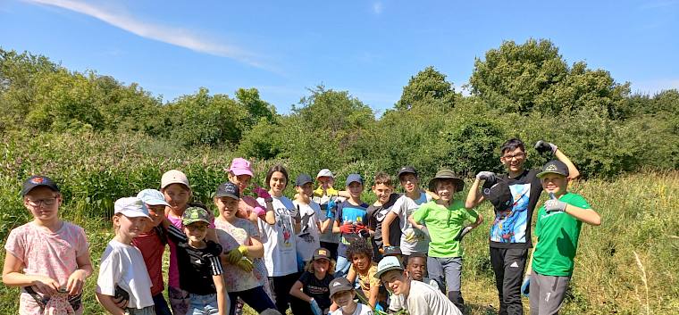 Die Schüler*innen der 4d des Campus Donaufeld beim Pflegetermin auf den Alten Schanzen. © LPV/I. Wrbka-Fuchsig Schulklasse bei Trockenrasenpflege