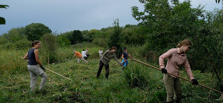 Trotz Regen ließen sich unsere Freiwilligen nicht von der Arbeit abhalten. © LPV/J. Fischer Freiwillige beim Mähgut-Rechen