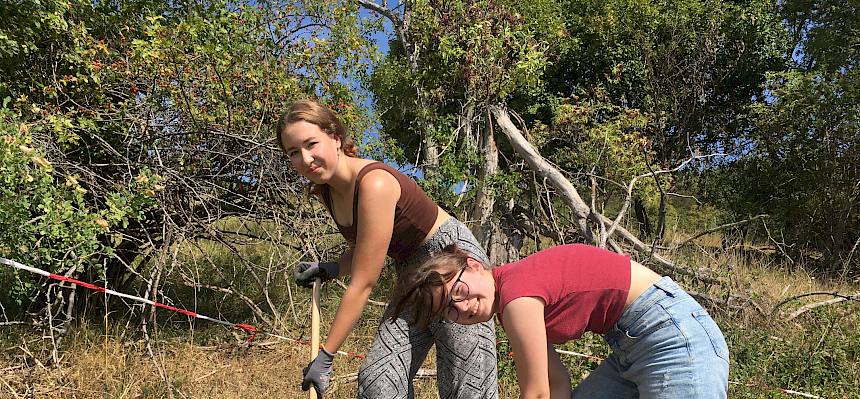 Zwei Freiwillige beim Aushacken von Gebüschen