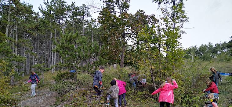 Gemeinsam geht die Arbeit schnell voran. © LPV/D.Lambropoulos Kinder bei der Landschaftspflege