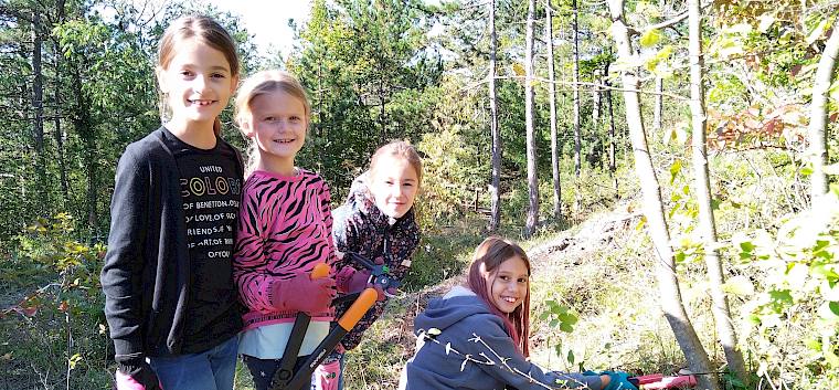 Bei Sonnenschein macht die Arbeit Spaß! © LPV/D.Lambropoulos Vier Kinder beim Schneiden von Bäumen.
