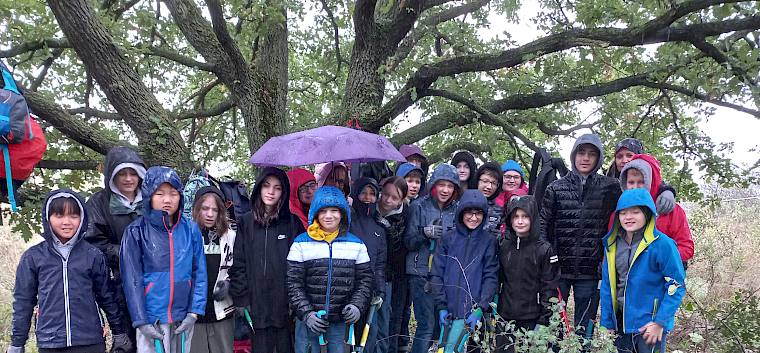 Die 2b des GRG Franklinstraße 26 leistete heute einen wichtigen Beitrag für die Artenvielfalt auf den Alten Schanzen. © LPV/I.Wrbka-Fuchsig Schulklasse am Trockenrasen