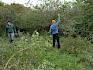 Durch das händische Entbuschen wird mehr Platz für seltene Arten freigeräumt. © LPV/J. Fischer Freiwillige trägt Baum