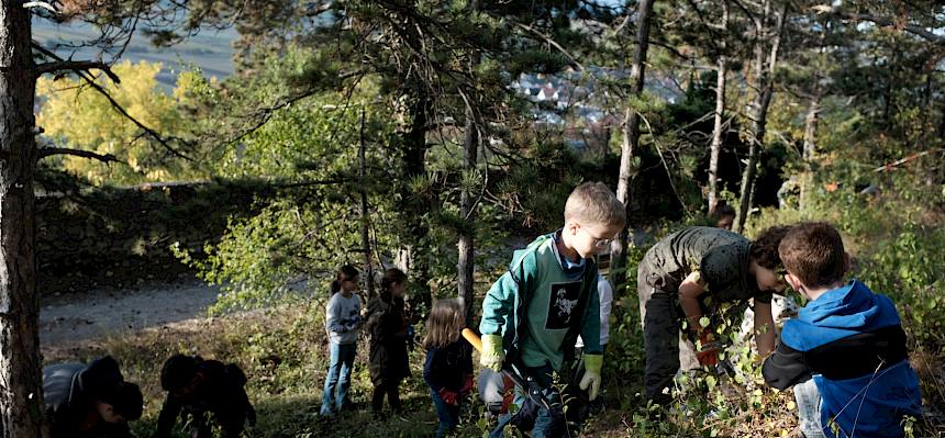 Kinder bei Trockenrasenpflege