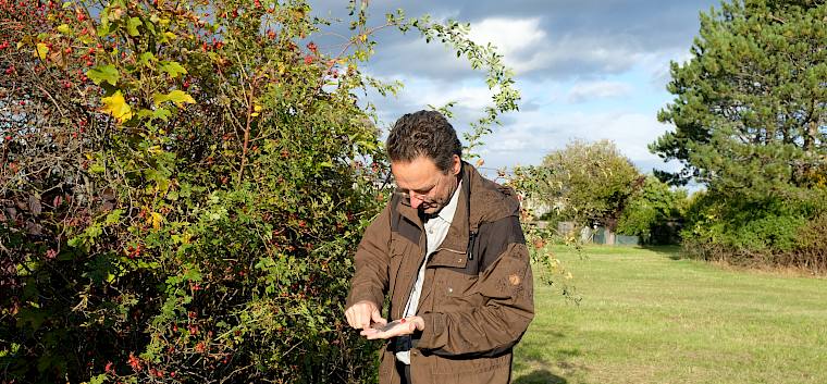 Wichtige Werkzeuge zur Rosenbestimmung: Schieblehre und Taschenmesser. © LPV/J. Fischer Bestimmung von Wildrosen