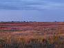 Abendstimmung im Nationalpark Neusiedlersee. © LPV/J. Fischer Abendstimmung am Neusiedler See