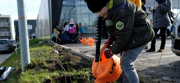 Die Kinder beim Eingießen ihrer gepflanzten Heckensträucher. © LPV/M. Frauendienst Kind gießt Pflanze.