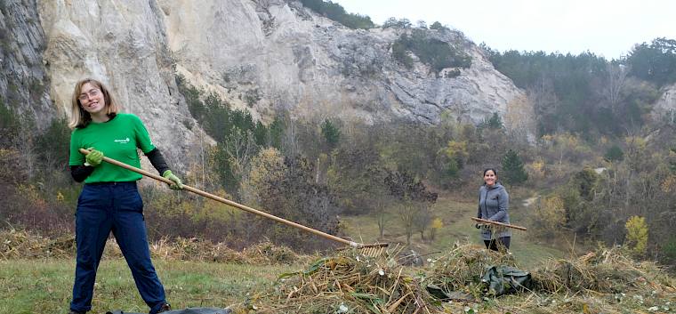 Die Helfer*innen rechen das Pflanzenmaterial auf die Planen, im Hintergrund der Harzberg-Steinbruch. © LPV/J. Fischer Freiwillige rechen