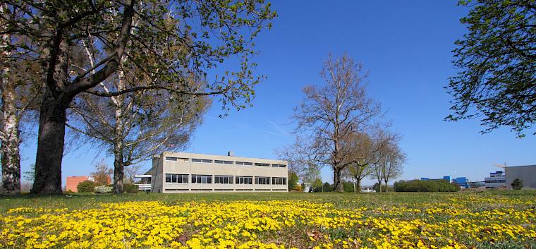 Schon im zeitigen Frühling verwandeln verschiedene Trockenrasen-Kräuter die Grünflächen des Forschungszentrums Seibersdorf in einen bunten Blütenteppich. © LPV/A. Mrkvicka Frühlings-Fingerkraut