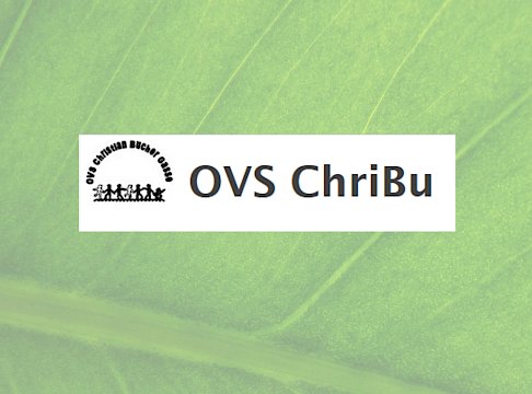 Logo OVS Christian-Bucher-Gasse