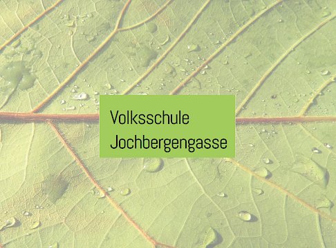 Logo VS Jochbergengasse