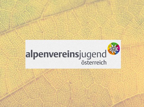 Logo Alpenvereinsjugend