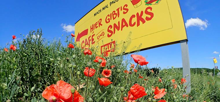 Snacks für Insekten bieten die Wiesenflächen in den ökologisierten BILLA-Filialen © LPV/I. Drozdowski Blühfläche bei BILLA