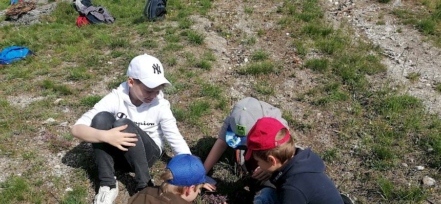 Kinder erforschen Trockenrasen