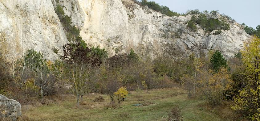 Wiese vor Steinbruchwand