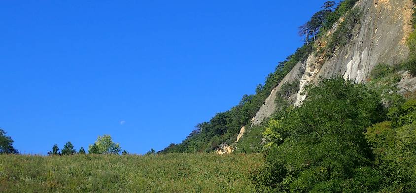 Wiese in einem Steinbruch