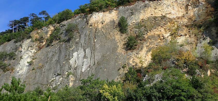 Menschen auf gemähter Wiese mit Rechen