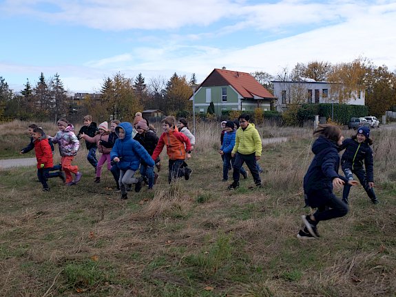 Laufspiel bei Hecken entdecken