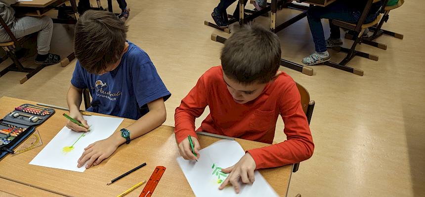 Kinder zeichnen Johanniskraut