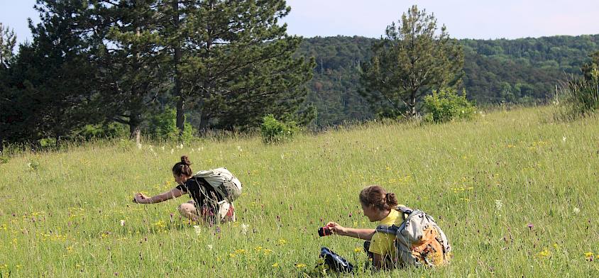 Menschen beim Fotografieren in der Natur