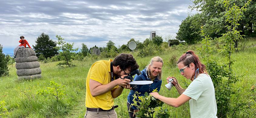 Menschen mit Fotoapparaten in der Natur