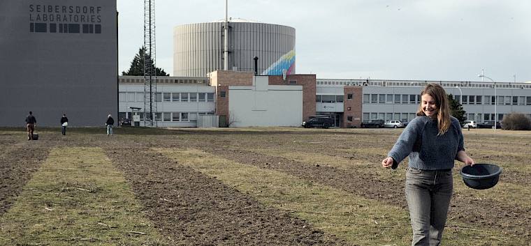 Das regionale Wildblumensaatgut wurde gleichmäßig auf der zuvor umgebrochenen Ansaatfläche verteilt. © LPV/J. Fischer Ausbringen der Samen für die Blumenwiese