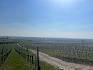 Aussicht über die Weingartenlandschaft in Pfaffstätten. © LPV/A. Herrmann Panorama