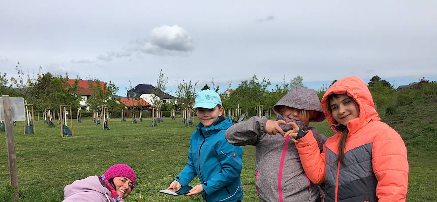 Kinder erforschen Wiese