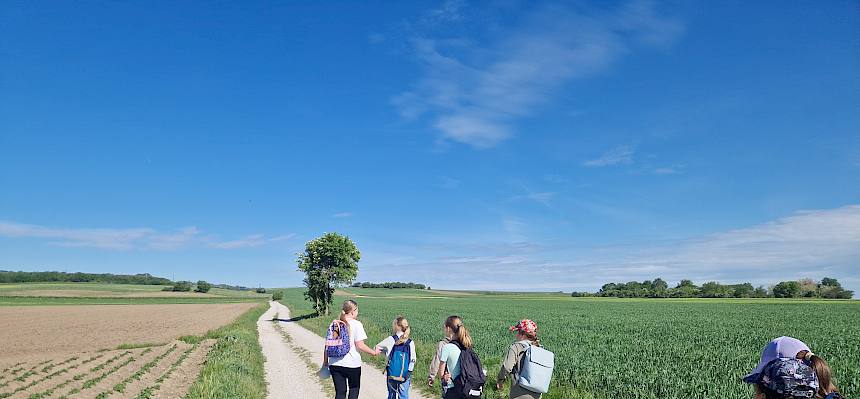 Schüler:innen auf Feldweg