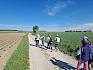 Die Alten Schanzen liegen relativ isoliert inmitten von z.T. kleinstrukturierter, z.T. relativ intensiv genutzter Acker- und Weinbaulandschaft. © LPV/B. Sabek Schüler:innen auf Feldweg