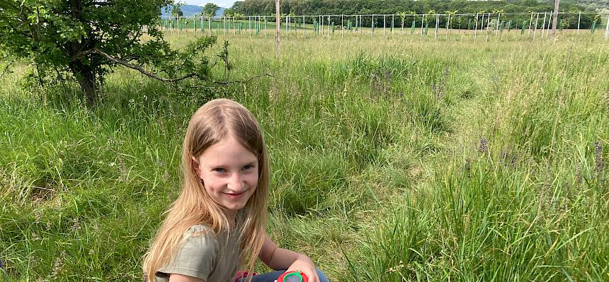 Schüler:innen bei der Becherlupensuche