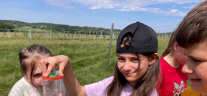 Schüler:innen bei der Becherlupensuche