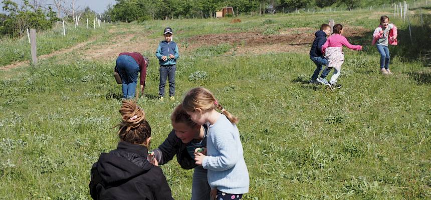 Naturpädagogin erklärt den Kindern mehr zu den Funden