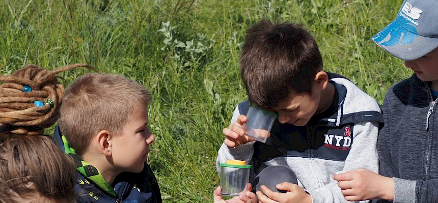 Schüler:innen schauen in Becherlupe