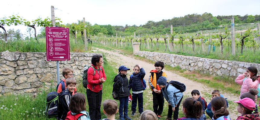 Kinder mit Naturpädagogin in Weinbaulandschaft