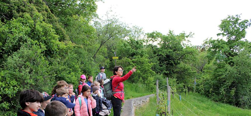 Schüler:innen blicken in die Landschaft