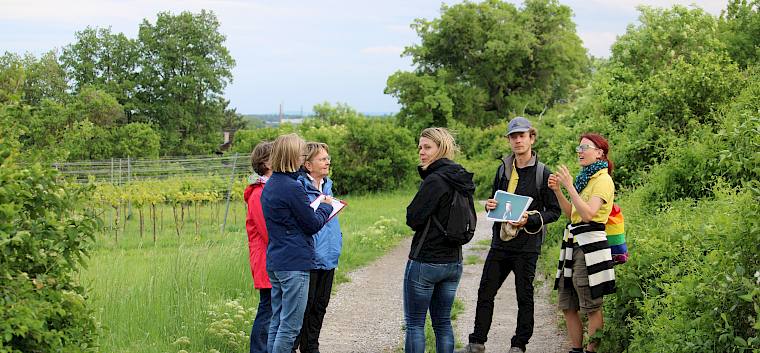Die Biolog:innen des Landschaftspflegevereins erklären die Bedeutung der Trockenrasen, der Kulturlandschaft und von Korridoren in der Landschaft. © LPV/L. Van Ginderachter Biolog:innen d. LPV führen Teilnehmer:innen durch Landschaf