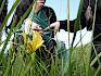 Die wunderschöne Blüte der Bunt-Schwertlilie löste bei der Klasse große Begeisterung aus. © LPV/J. Rehrmbacher Schüler:innen betrachten Bunt-Schwertlilie