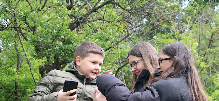 Schüler:innen erforschen Hang-Trockenrasen