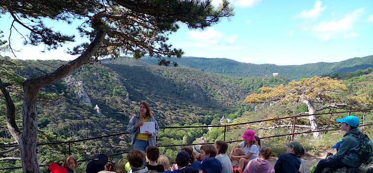 Die Schüler:innen der Emma Plank Schule genießen der Ausblick über den Naturpark Föhrenberge. © LPV/N. Elek Föhre, Naturpark Föhrenberge, Schule