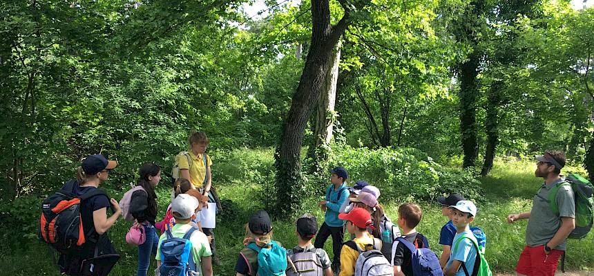 Efeu, Naturpark Föhrenberge, Kalenderberg, Schule