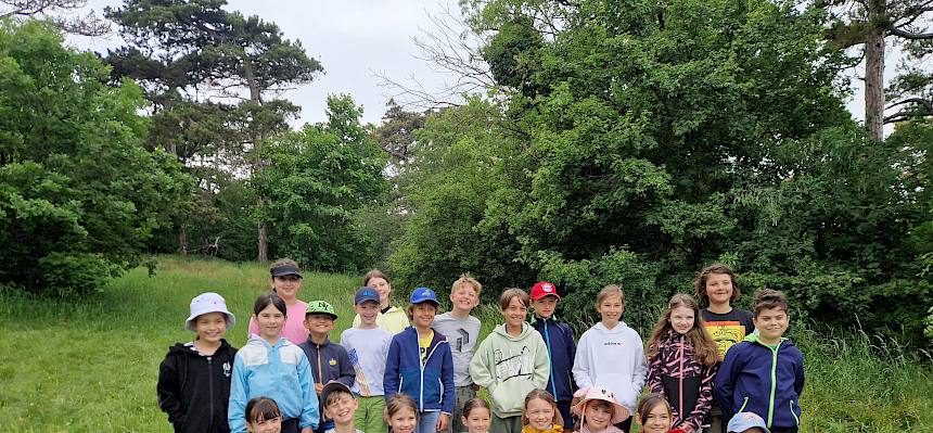 Schule, Naturpark Föhrenberge, Kalenderberg