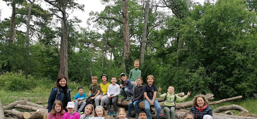 Schule, Naturpark Föhrenberge