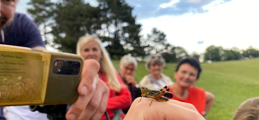 Heuschrecke wird fotografiert