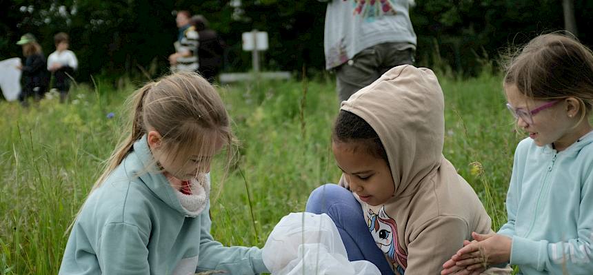 Kinder erheben Schmetterlingsvielfalt